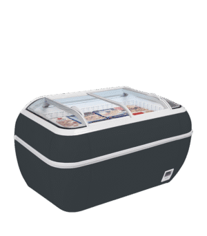 TEFCOLD DUPLA 2.2DE HC RAL7016 Supermarket Freezer