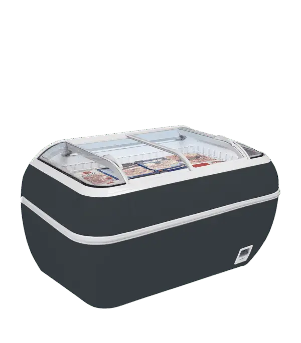 TEFCOLD DUPLA 2.2DE HC RAL7016 Supermarket Freezer