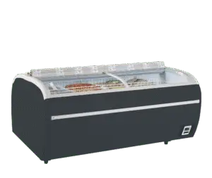 TEFCOLD DUPLA 2.2DE RAL7016 Supermarket Freezer