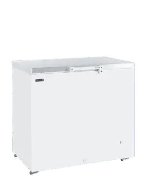 TEFCOLD GM300SS Solid Lid Chest Freezer