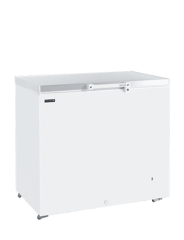 TEFCOLD GM300SS Solid Lid Chest Freezer