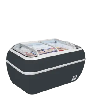 TEFCOLD DUPLA 2.2DE HC RAL7016 Supermarket Freezer