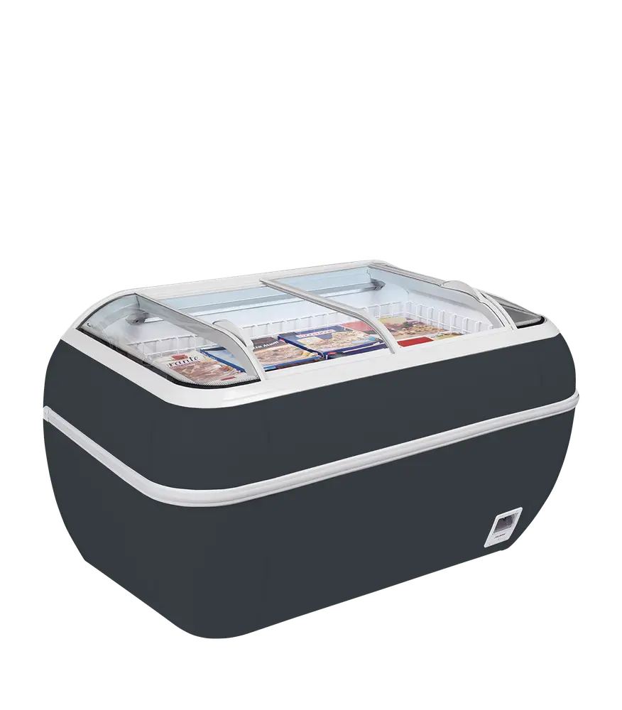 TEFCOLD DUPLA 2.2DE HC RAL7016 Supermarket Freezer