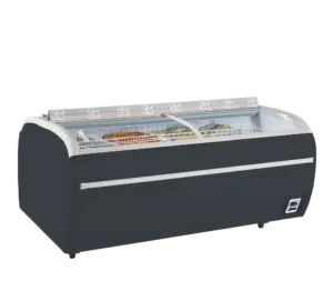 TEFCOLD DUPLA 2.2DE RAL7016 Supermarket Freezer