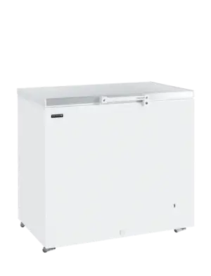 TEFCOLD GM300SS Solid Lid Chest Freezer