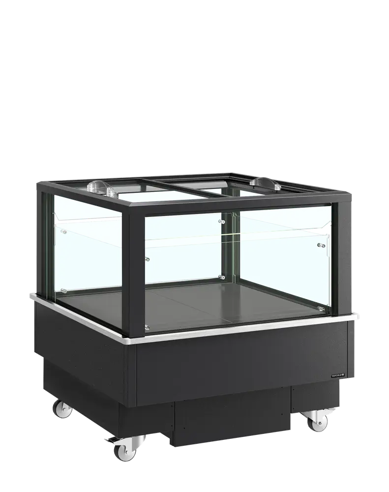 TEFCOLD EIB-D1010-B1 Black impulse cooler/freezer