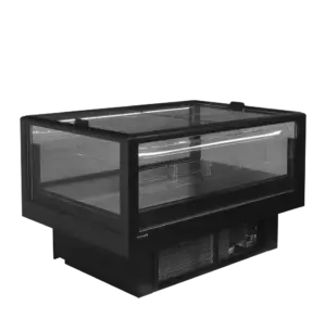 TEFCOLD EIDA 150B Black impulse cooler/freezer