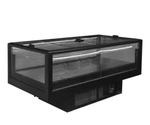 TEFCOLD EIDA 200B Black impulse cooler/freezer