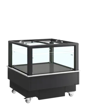 TEFCOLD EIB-D1010-B1 Black impulse cooler/freezer